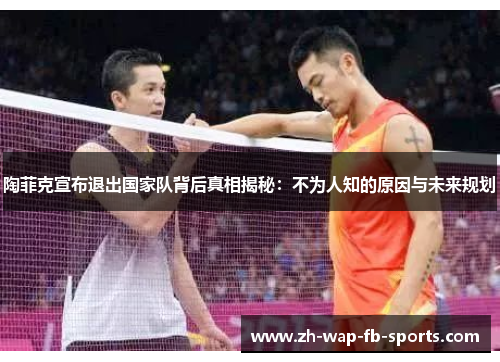 陶菲克宣布退出国家队背后真相揭秘：不为人知的原因与未来规划