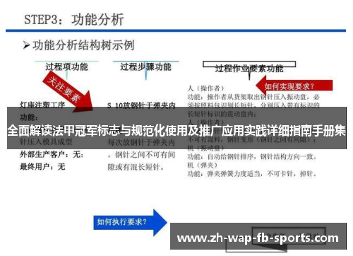 全面解读法甲冠军标志与规范化使用及推广应用实践详细指南手册集 全面解读法甲冠军标志与规范化使用及推广应用实践详细指南手册集