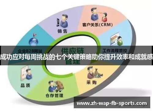 成功应对每周挑战的七个关键策略助你提升效率和成就感